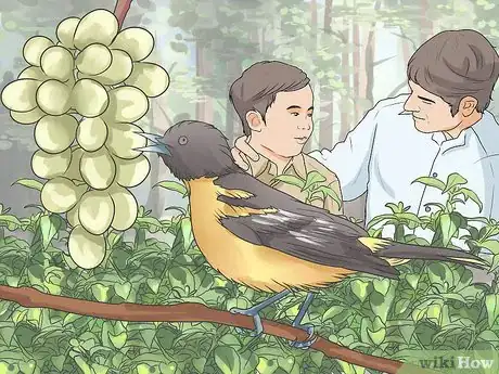 Image titled Camp with Toddlers Step 15