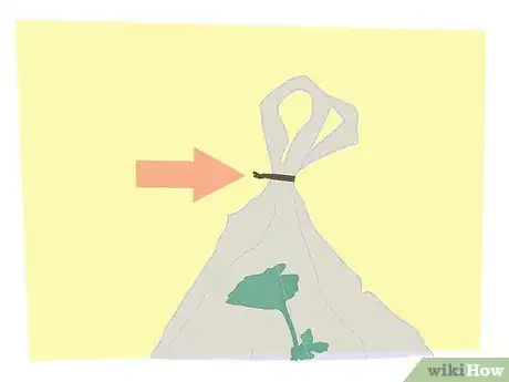 Image titled Propagate Your Plants Step 11