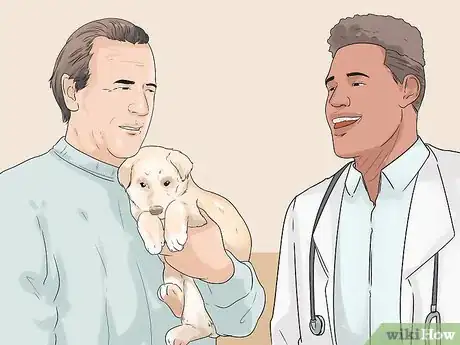 Image titled Exercise Your Puppy Step 9