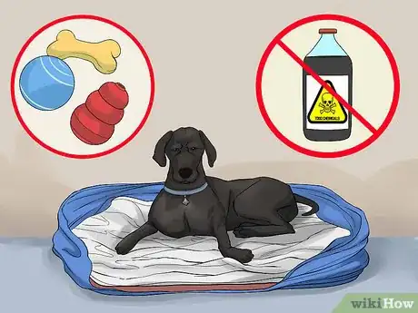 Image titled Become Close With Your Dog Step 3