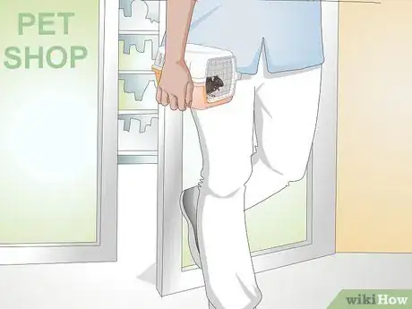 Image titled Identify Pinworms in Mice Step 8