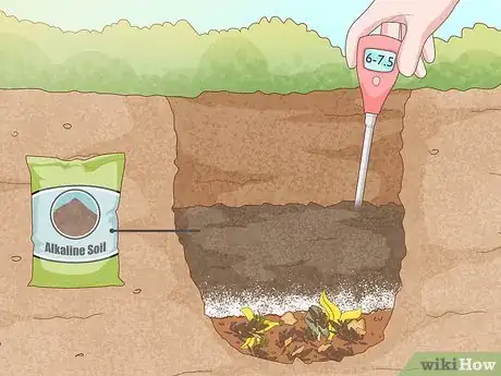 Image titled Grow and Care for Peonies Step 8