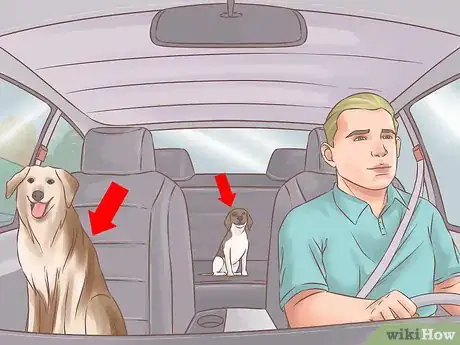 Image titled Acclimate Two Dogs Step 7