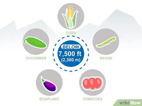Image titled Grow Vegetables in the West Step 14