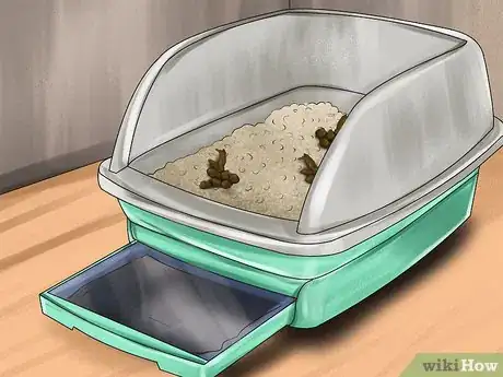 Image titled Identify Early Signs of Chronic Kidney Disease in Cats Step 7