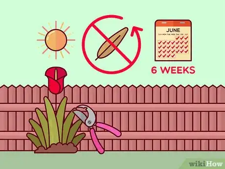 Image titled Prune Tulips Step 4