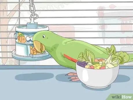 Image titled Set Up an Eclectus Habitat Step 8