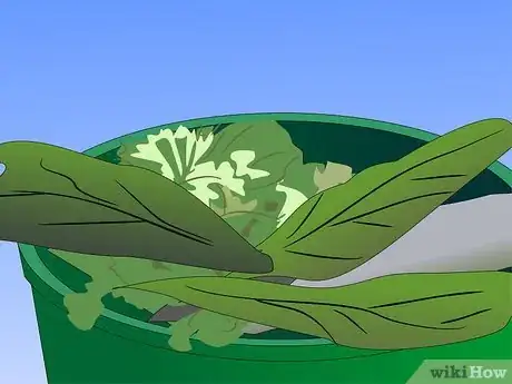 Image titled Grow Ornamental Flowering Kale Plants Step 14