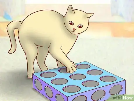 Image titled Choose Toys for a Senior Cat Step 1