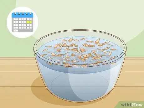 Image titled Grow a Noni Tree Step 4