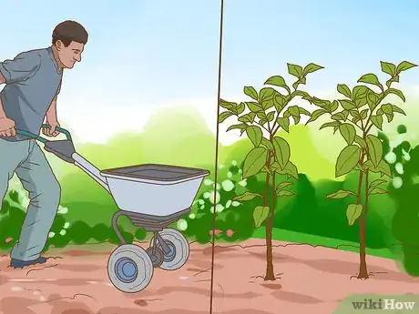 Image titled Choose Organic Fertilizer Step 9