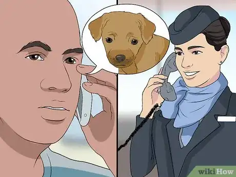 Image titled Fly Internationally With a Dog Step 4