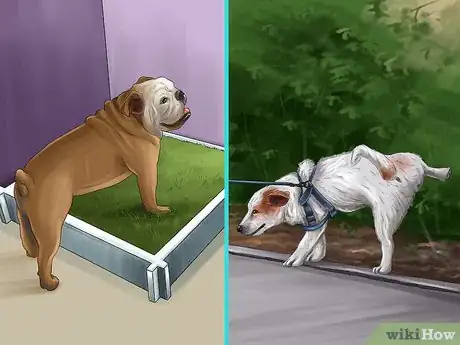 Image titled Care for a Rescued Dog Step 13