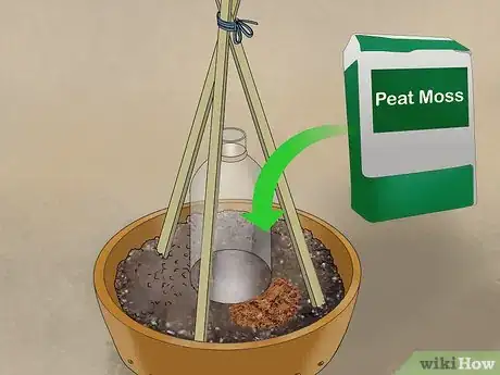 Image titled Grow Cucumbers in Pots Step 14