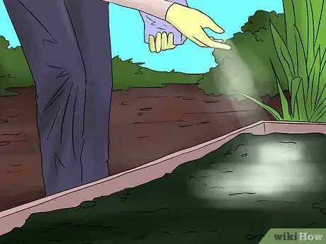 Image titled Help Carnations Make a Comeback Step 5