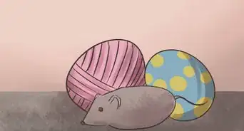 Earn a Kitten's Trust