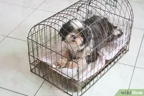 Image titled Housebreak Your Dog Using Crate Training Step 5