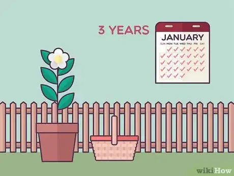 Image titled Grow Tea Step 14