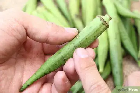 Image titled Preserve Fresh Okra Step 5