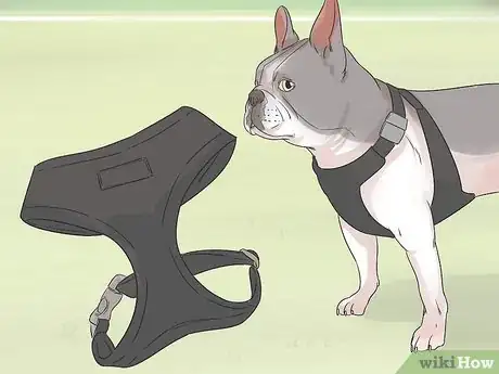 Image titled Choose Gifts for New Dog Owners Step 3