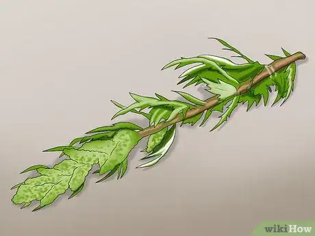 Image titled Keep Caterpillars Out of the Garden Step 8