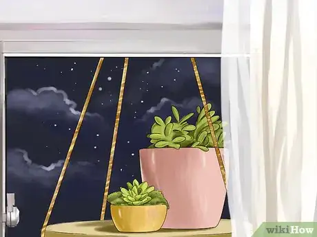 Image titled Choose Safe Houseplants when You Have a Cat Step 6