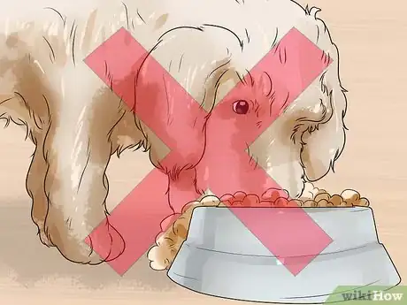 Image titled Care for Labradoodles Step 10