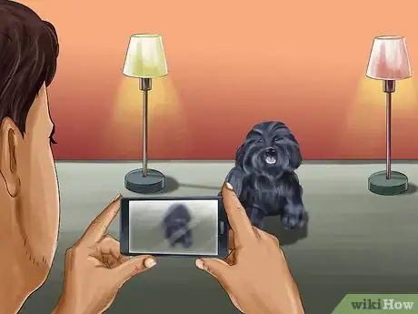 Image titled Take Pictures of Your Black Pet Step 8