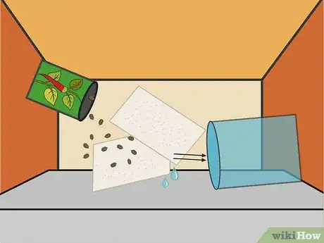 Image titled Grow a Chilli Plant from a Seed Step 1