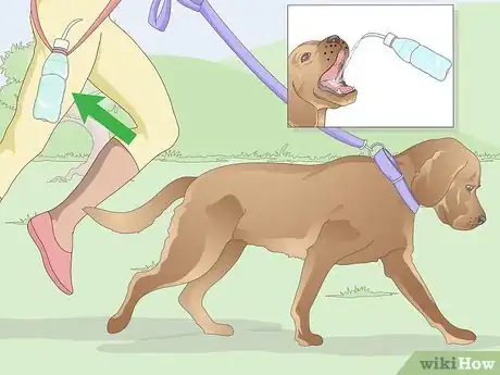 Image titled Keep a Dog Hydrated Step 9