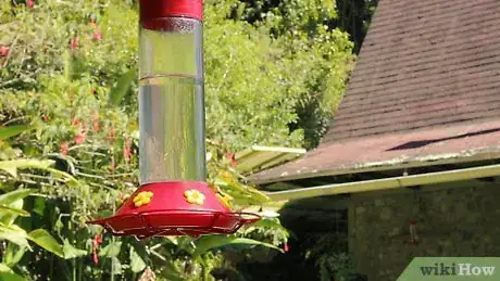 Image titled Photograph Hummingbirds Step 1