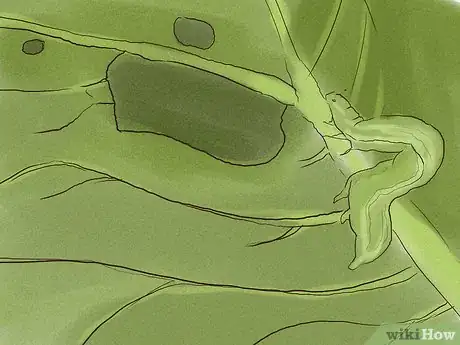 Image titled Start a Vegetable Garden Step 12