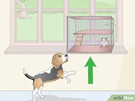 Image titled Keep Pet Rats Safe Around Other Pets Step 8
