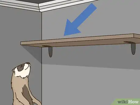 Image titled Stop a Ferret from Digging in Houseplants Step 2