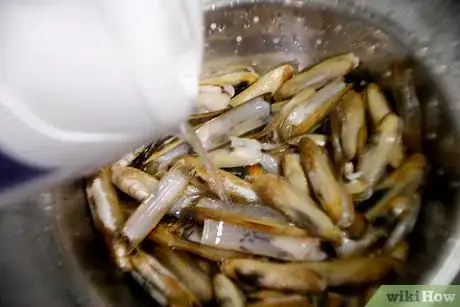 Image titled Cook Razor Clams Step 3
