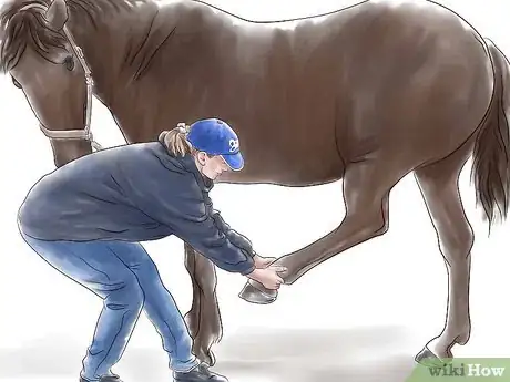 Image titled Stretch a Horse Step 13