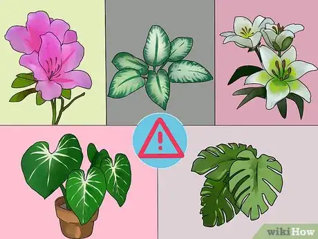 Image titled Protect Dogs and Cats from Household Dangers Step 11