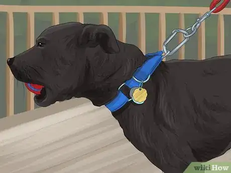 Image titled Return a Stray Dog to Its Owner Step 4