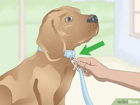 Image titled Teach a Dog to Leave It Step 1