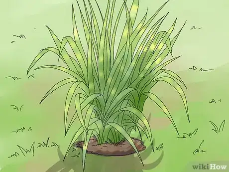 Image titled Plant Landscape Grasses Step 3