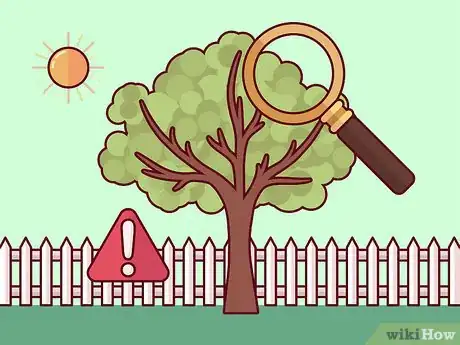 Image titled Do Basic Dormant Season Pruning Step 1