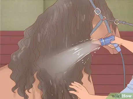 Image titled Groom a Horse for a Show Step 4