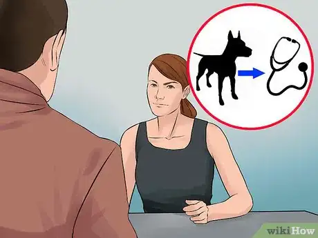 Image titled Buy a Doberman Pinscher Puppy Step 5