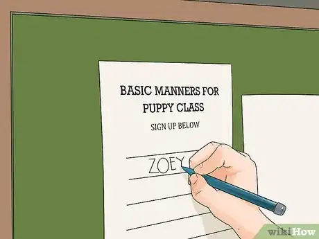 Image titled Exercise Your Puppy Step 6