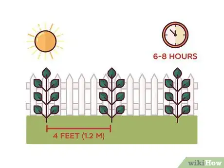 Image titled Stake Tomato Plants Step 9