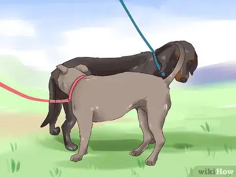 Image titled Supervise a New Dog Step 9