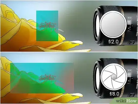 Image titled Photograph Insects Step 14