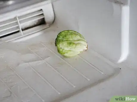 Image titled Select and Store Brussels Sprouts Step 9