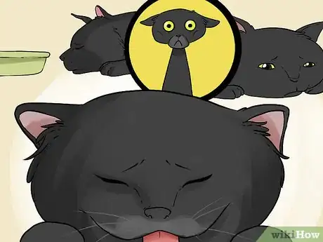 Image titled Diagnose Chronic Vomiting in Cats Step 3