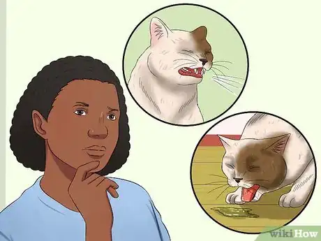 Image titled Prevent Heartworm Disease in Cats Step 6